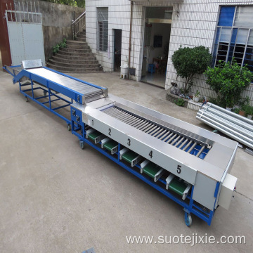 Fruit Sorting Machine Cherry Tomato Grading Machine